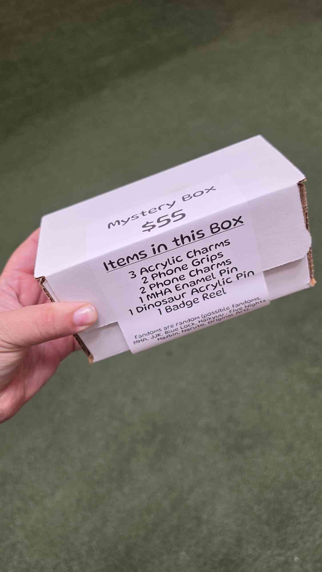 Anime Fanart Mystery Boxes